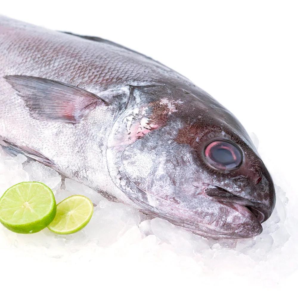 Cojinova Fresca Entera (10kg)