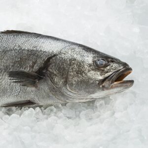 Corvina Fresca Entera (Kg)