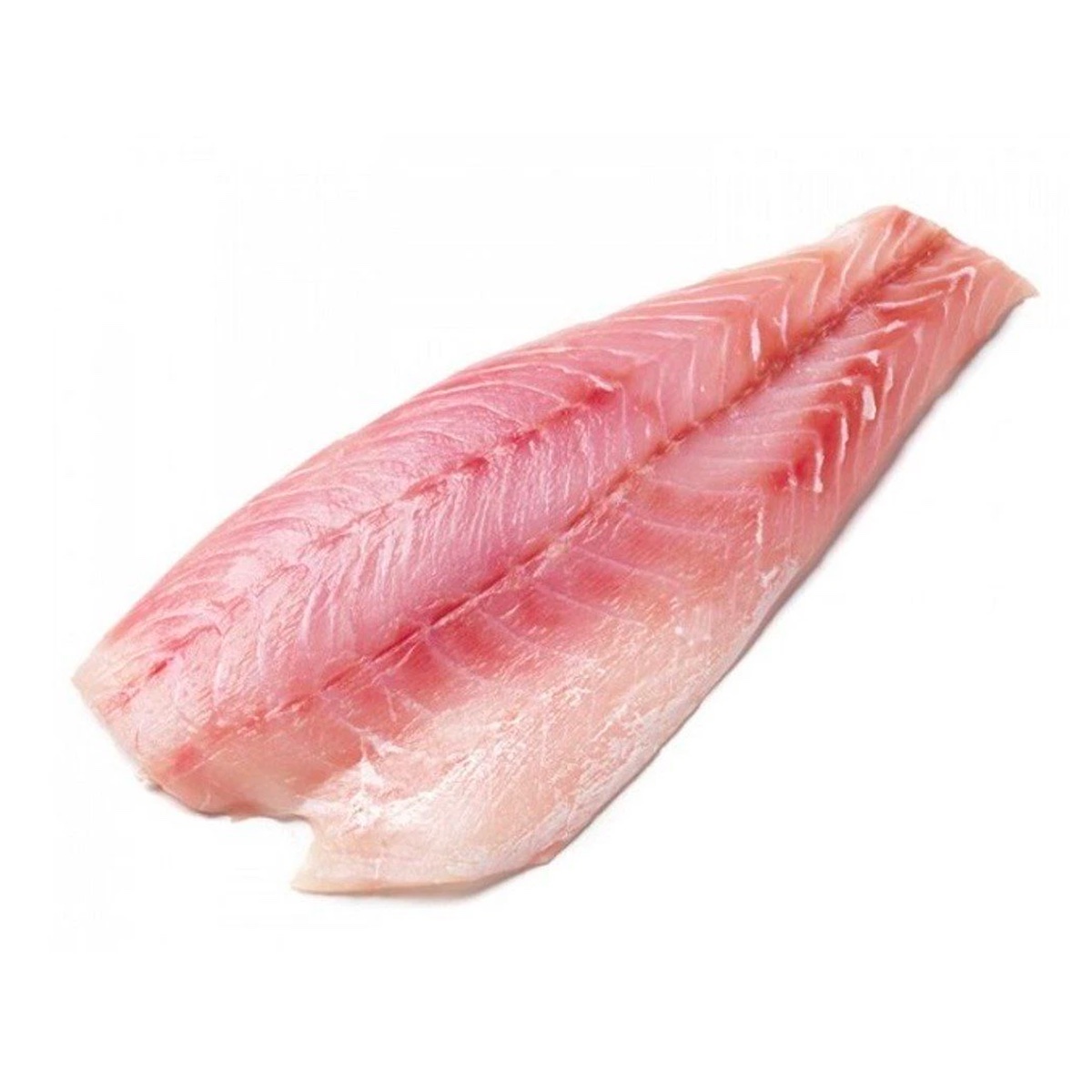 Filet Corvina Fresca (Kg)